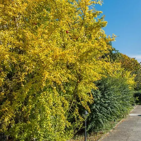 Landhaus Monteporzano